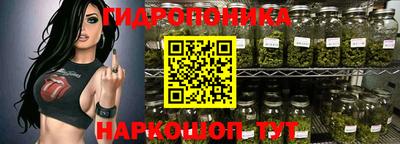 a pvp Дубна