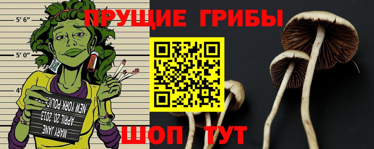 Нижнеудинск  Псилоцибиновые грибы мухоморы  купить   Вход с VPN 